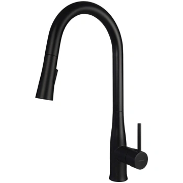Kitchen faucet with pull-out spout deante BDH_N72M