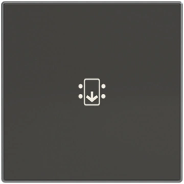 Rocker Symbol "key/door" for Switch/push button Ho