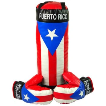Children"s Boxing Set Bag Two Gloves