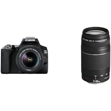Canon EOS 250D digitālā kamera ar objektīvu EF-S 1