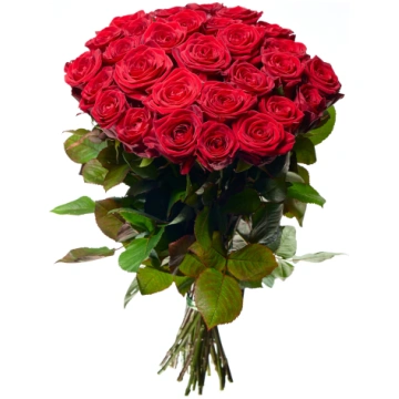 Sarkanas rozes 70 - 80 cm - 101