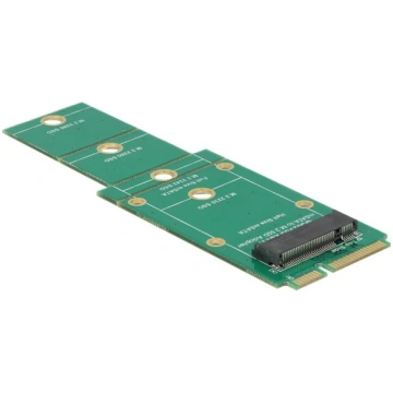 Delock Adapter M.2 NGFF > mSATA - storage controll