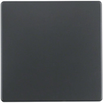 Berker Rocker change anthracite velvety 16206086 A