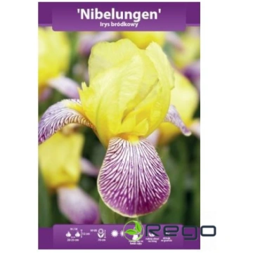 Īrisi bārdainie NIBELUNGEN WYBČR I 1gb