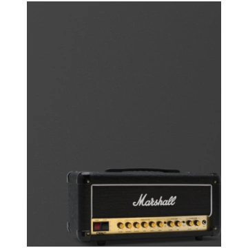 DSL20 Head Marshall