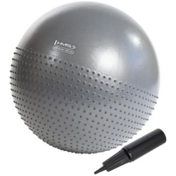 YB03 65CM GRAY GYM BALL HMS