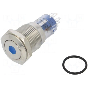 Switch: vandal resistant | DPDT | 3A/250VAC | IP67