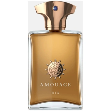 Amouage Dia Man Eau de Parfum for Men Spazio Prite