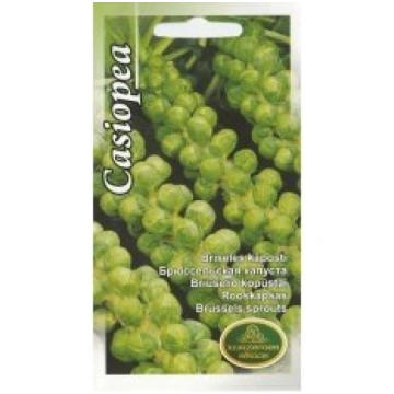 Kurzemes Sēklas Sēklas kāposti briseles Casiopea 2
