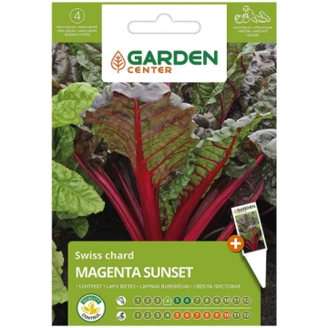 Sēklas Garden Center, galda bietes Magenta Sunset,