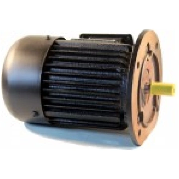 Flanca trīsfāžu asinhronais elektrodzinējs 7.5kW (