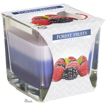 Svece aromātiskā stikla traukā Forest Fruits Bispo