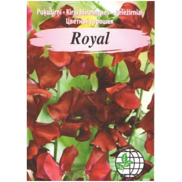 Puķuzirņi Royal tumši sarkani AMC 2gr, Agrimatco s
