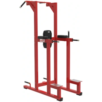 Dip And Pull Up Station - RFA | Functional Trainin