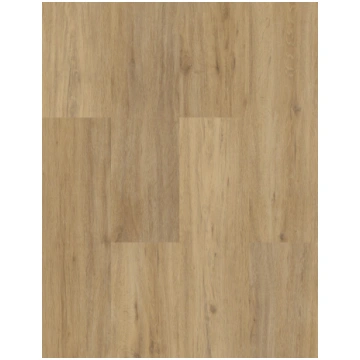Allure 55 Click Gotham Nature S20008 Aspecta