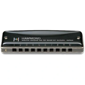 Suzuki Hammond HA-20 G harmonikas