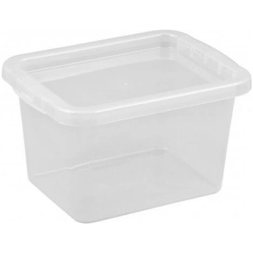 Uzglabāšanas kaste ar vāku Plast Team, caurspīdīga