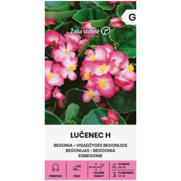 Sēklas Begonijas ilgziedošās LUČENEC H 50s 4770168