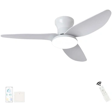Liels griestu gaisma ar ventilatoru Dzīvojamā ista