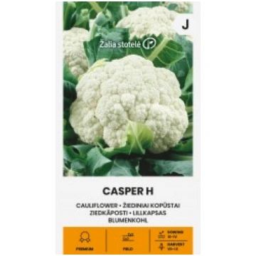 ZIEDKĀPOSTI CASPER H ŽALIA STOTELĖ