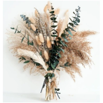 Pampas zāle dekorācija, zaļa, mazā, dzīvojamajai i