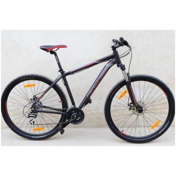 MERIDA BIG NINE R29