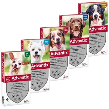 Advantix Spot-on suņiem N1 Bayer Animal Health