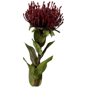 Mākslīgais augs (augstums 74 cm) Protea – Ego Deko