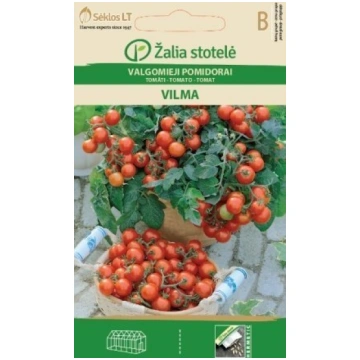 TOMĀTI VENUS Žalia stotelė