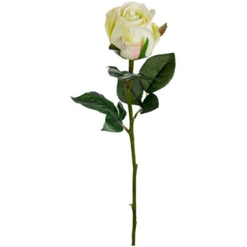 Roze 50cm baltizaļa