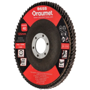 Vēdekļveida slīp.disks D125x22 mm, P40 | D219-01 |