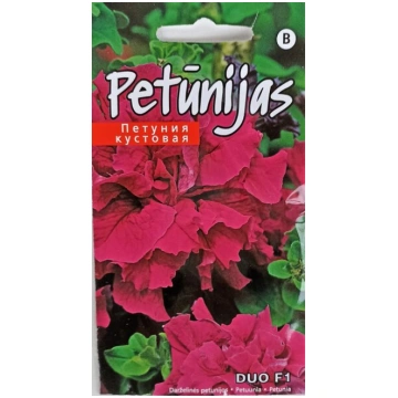 Petūnijas Duo F1 Kurzemes sēklas