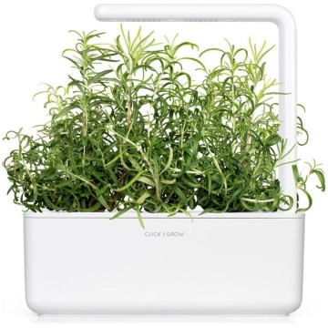 Rozmarīna stādi "gudrais dārzs" 65cm Click & Grow