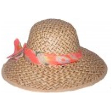Cepure HAP2761