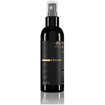 Telpu smaržūdens AROMATIC 89 Epsilon 100 ml — laim