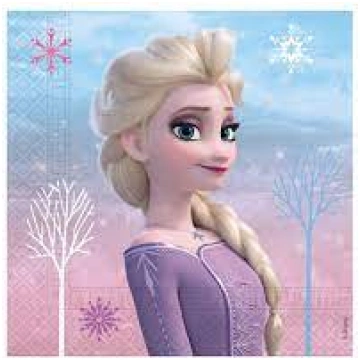 Lietots - Salvetes "Frozen wind" (20 gab.) PartyIn