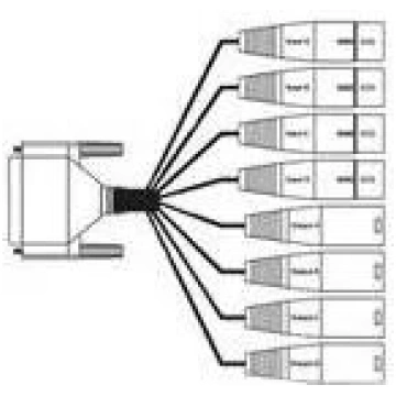 AJA Breakout kabelis DB-25 M uz DB-25 XLR3 3G-AM-X