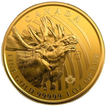 200 Dollari Alce americano (2019) Orovilla
