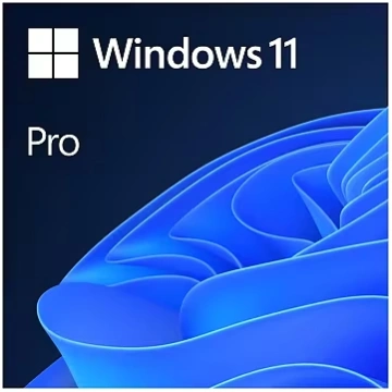 Microsoft Windows 11 Pro, 64bit, English, OEM (DVD