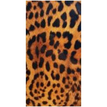 Evelatus Universal Leopard Colorful Film for Scree