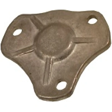 Vāks T25-1701355-1