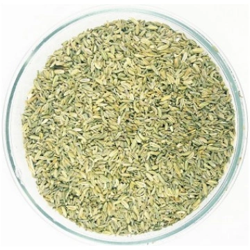 Fenhelis 100g IFENH
