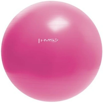 YB01N 55CM PINK GYM BALL HMS