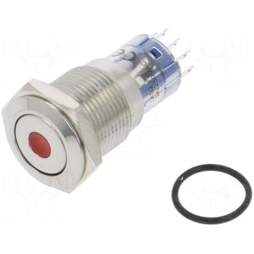 Switch: vandal resistant | DPDT | 3A/250VAC | IP67