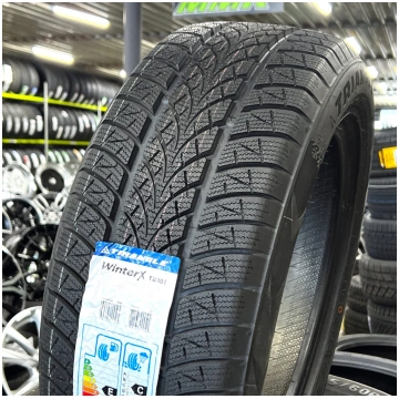 225/60R17 Triangle WinterX TW401 103V XL
