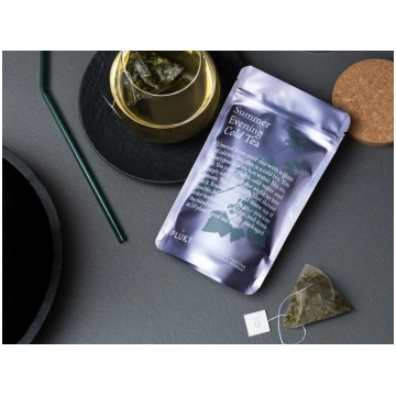 Aukstā tēja Summer Evening Cold-brew, bio