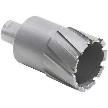 Walter 05-D 313 Carbide Core Cut Annular Cutter- 1