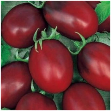 Tomāti BLACK PLUM 0.1g