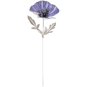 Sudraba zieds Magone