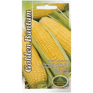 Sēklas Kurzemes sēklas, kukurūza Corn Golden Banta